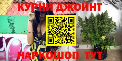 соль ск Новодвинск
