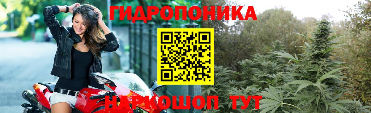 Конопля LSD WEED  Вход с VPN  МАРИХУАНА LSD WEED  Марихуана AK-47  МАРИХУАНА Amnesia  Петропавловск-Камчатский 